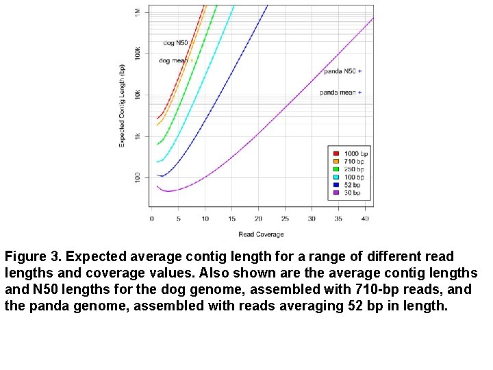 Figure 3. Expected average contig length for a range of different read lengths and