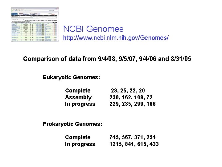 NCBI Genomes http: //www. ncbi. nlm. nih. gov/Genomes/ Comparison of data from 9/4/08, 9/5/07,