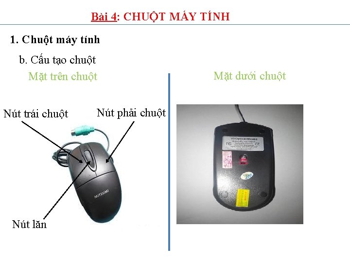 Bài 4: CHUỘT MÁY TÍNH 1. Chuột máy tính b. Cấu tạo chuột Mặt