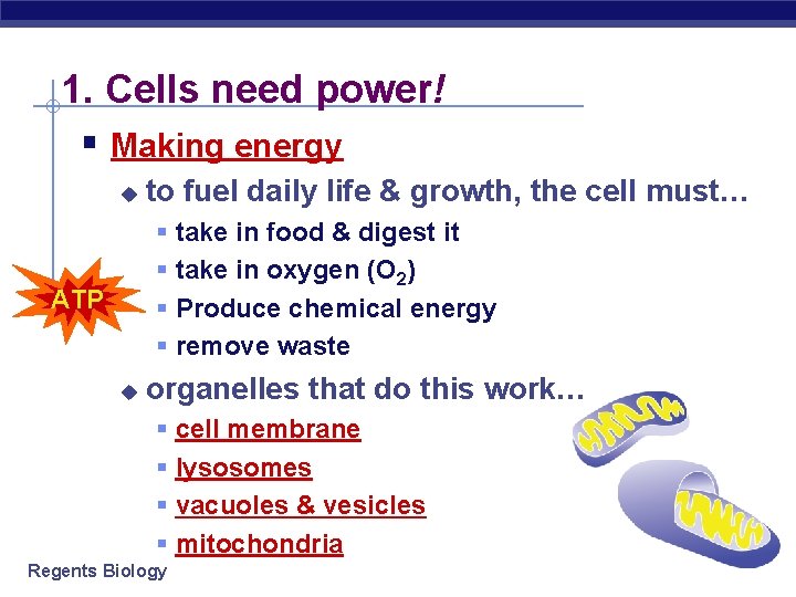 1. Cells need power! § Making energy u to fuel daily life & growth,