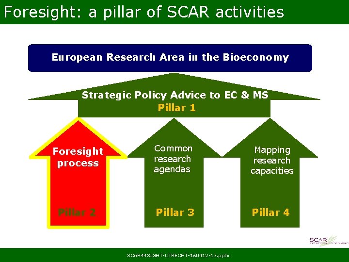 Foresight: a pillar of SCAR activities European Research Area in the Bioeconomy Strategic Policy