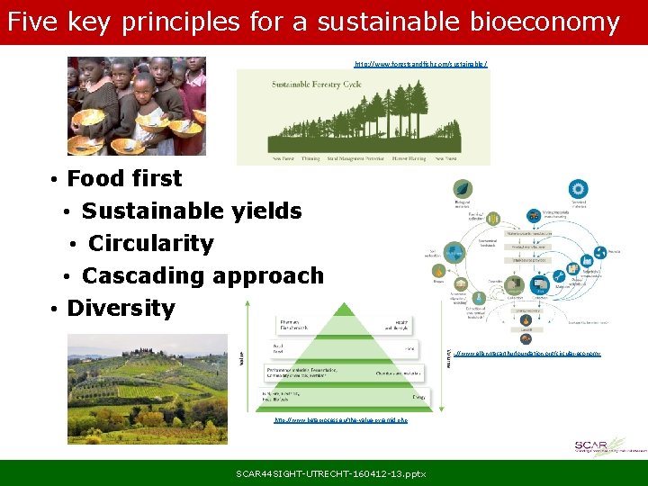 Five key principles for a sustainable bioeconomy http: //www. forestsandfish. com/sustainable / • Food