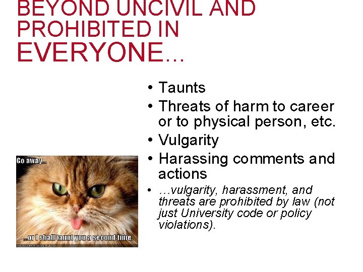 BEYOND UNCIVIL AND PROHIBITED IN EVERYONE… • Taunts • Threats of harm to career