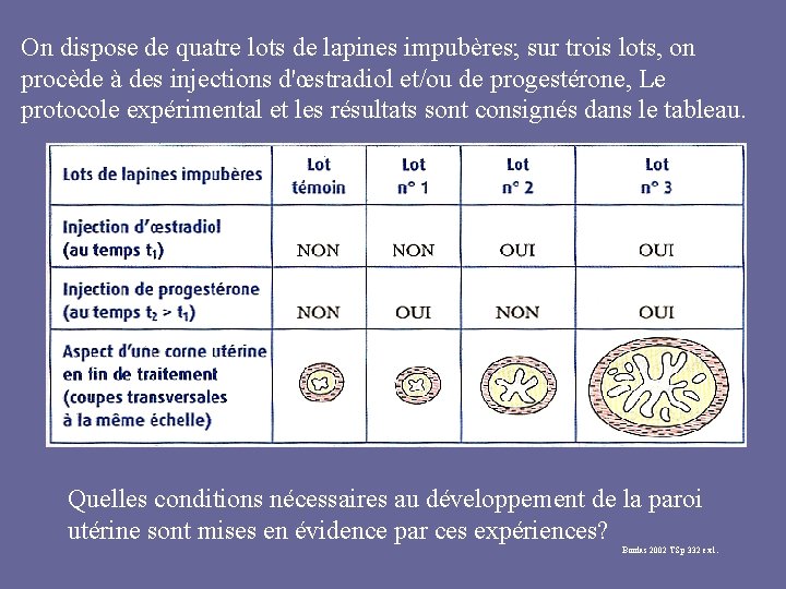 On dispose de quatre lots de lapines impubères; sur trois lots, on procède à