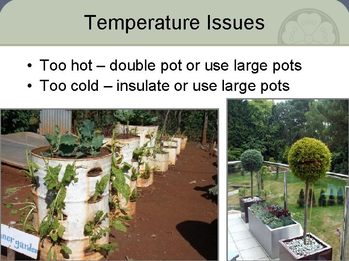 Temperature Issues • Too hot – double pot or use large pots • Too