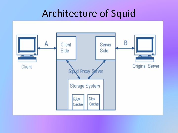 Architecture of Squid 