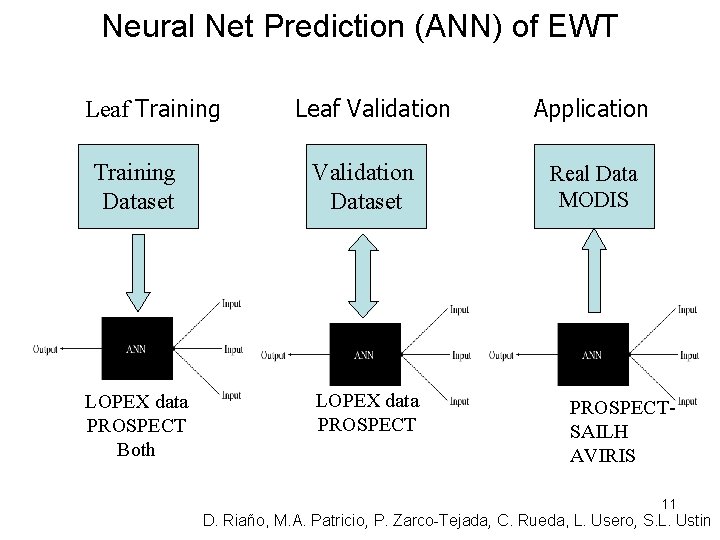 Neural Net Prediction (ANN) of EWT Leaf Training Leaf Validation Training Dataset Validation Dataset