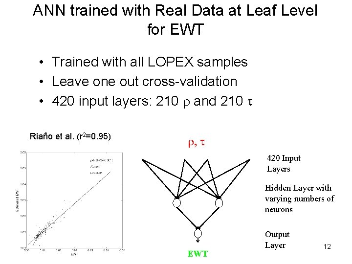 ANN trained with Real Data at Leaf Level for EWT • Trained with all
