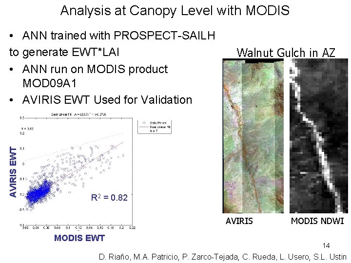 Analysis at Canopy Level with MODIS AVIRIS EWT • ANN trained with PROSPECT-SAILH to