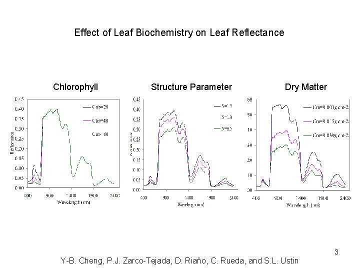 Effect of Leaf Biochemistry on Leaf Reflectance Chlorophyll Structure Parameter Dry Matter 3 Y-B.