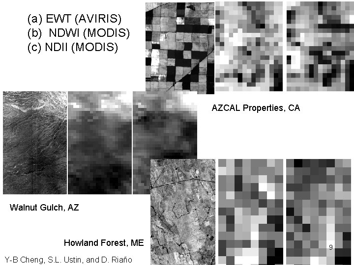 (a) EWT (AVIRIS) (b) NDWI (MODIS) (c) NDII (MODIS) AZCAL Properties, CA Walnut Gulch,