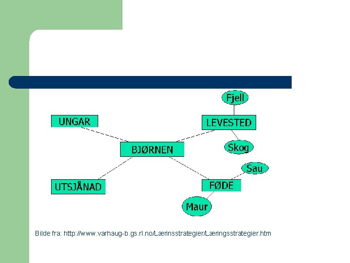Bilde fra: http: //www. varhaug-b. gs. rl. no/Lærinsstrategier/Læringsstrategier. htm 