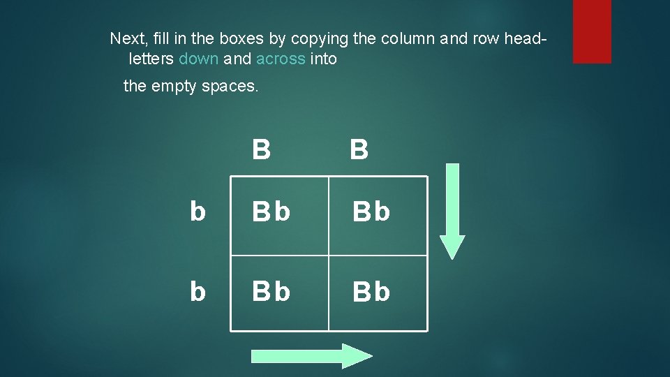 Next, fill in the boxes by copying the column and row headletters down and