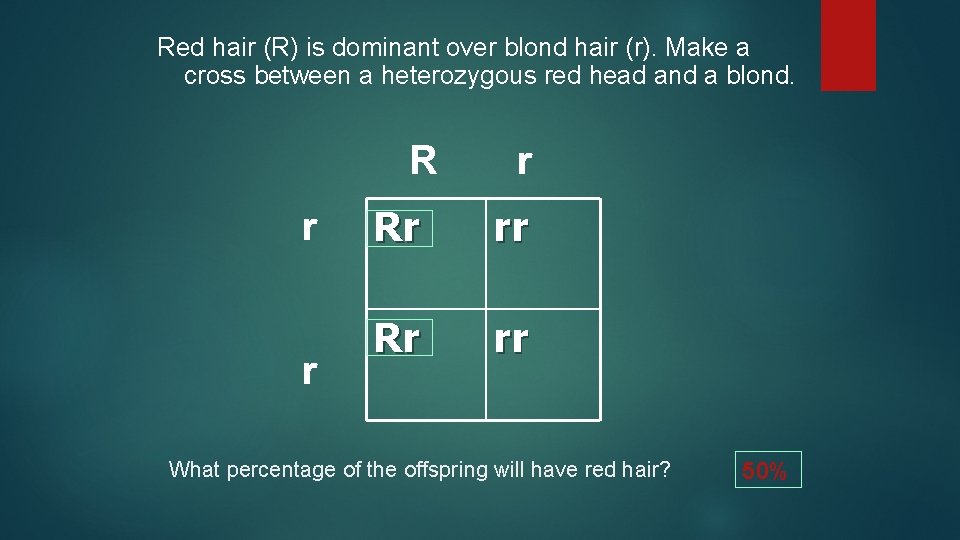 Red hair (R) is dominant over blond hair (r). Make a cross between a