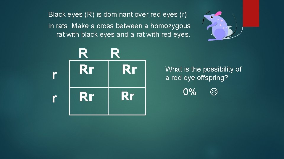 Black eyes (R) is dominant over red eyes (r) in rats. Make a cross