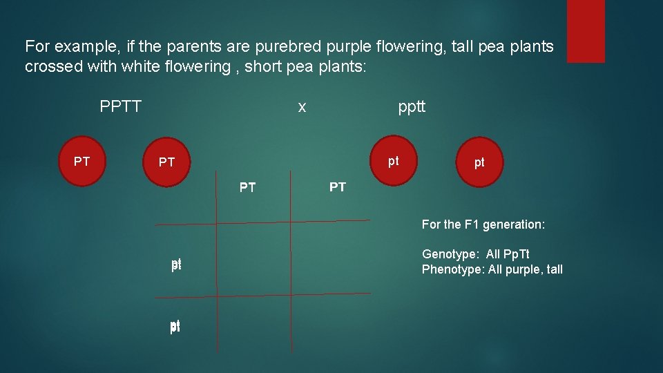 For example, if the parents are purebred purple flowering, tall pea plants crossed with