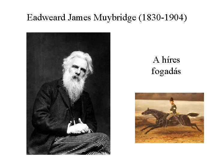 Eadweard James Muybridge (1830 -1904) A híres fogadás 