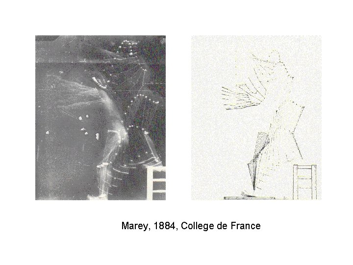 Marey, 1884, College de France 