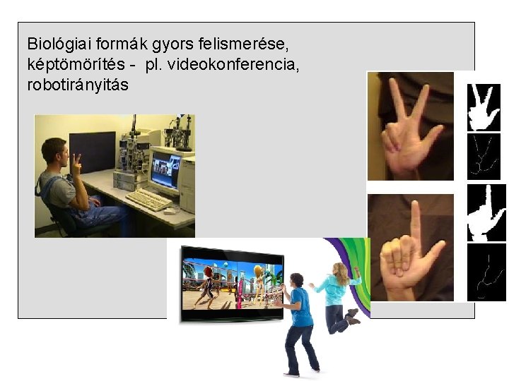 Biológiai formák gyors felismerése, képtömörítés - pl. videokonferencia, robotirányitás 