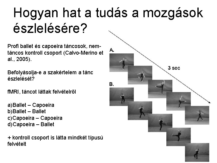 Hogyan hat a tudás a mozgások észlelésére? Profi ballet és capoeira táncosok, nemtáncos kontroll