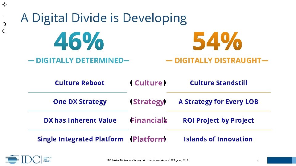 © I D C A Digital Divide is Developing DIGITALLY DISTRAUGHT DIGITALLY DETERMINED Culture