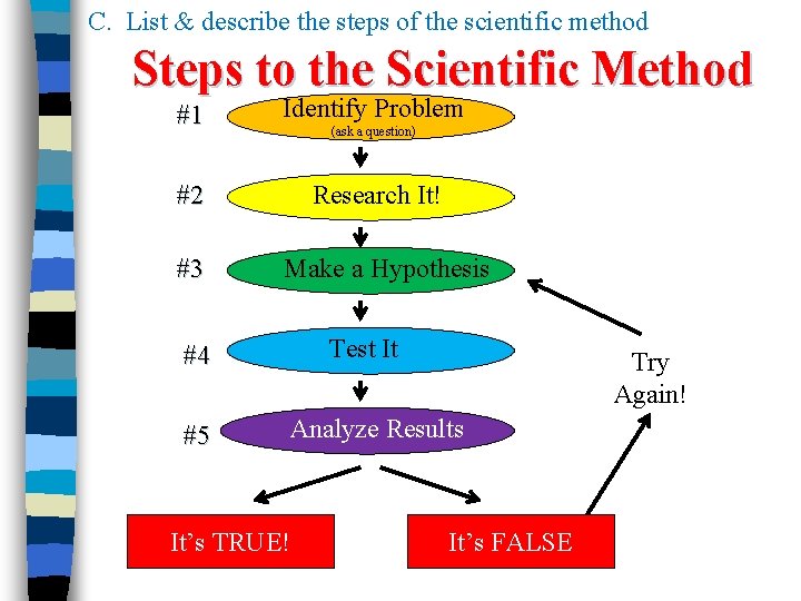C. List & describe the steps of the scientific method Steps to the Scientific C. List & describe the steps of the scientific method Steps to the Scientific