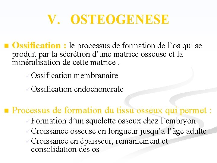 V. OSTEOGENESE n Ossification : le processus de formation de l’os qui se produit