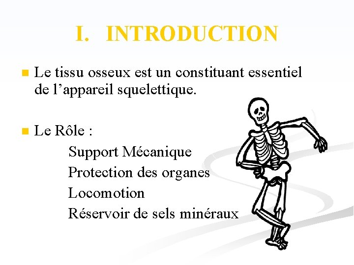 I. INTRODUCTION n Le tissu osseux est un constituant essentiel de l’appareil squelettique. n