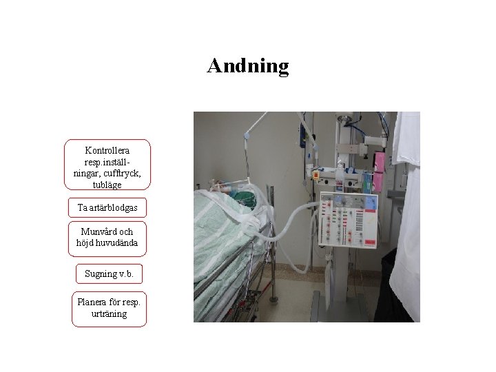 Andning Kontrollera resp. inställningar, cufftryck, tubläge Ta artärblodgas Munvård och höjd huvudända Sugning v.