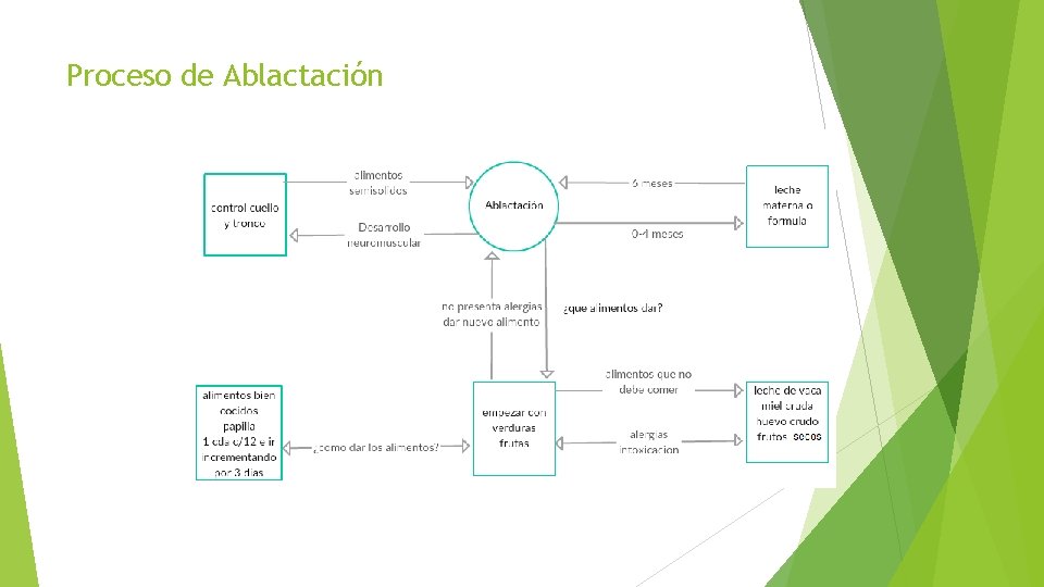 Proceso de Ablactación 