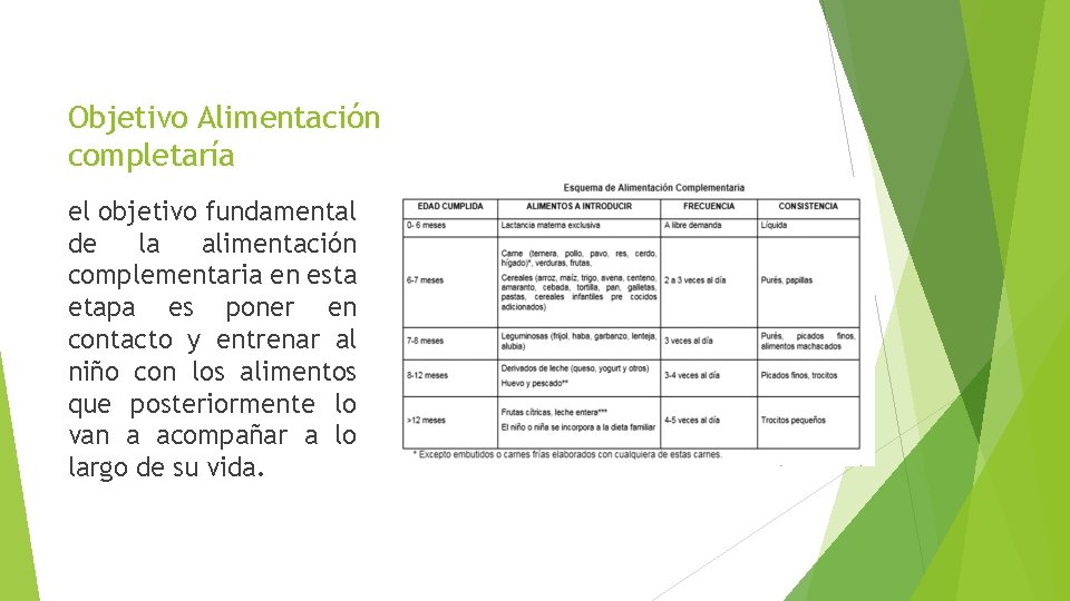 Objetivo Alimentación completaría el objetivo fundamental de la alimentación complementaria en esta etapa es