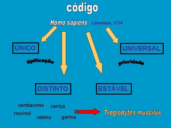 Linnaeus, 1758 ÚNICO UNIVERSAL DISTINTO cambaxirras rouxinol carriça ratinho garrixa ESTÁVEL 