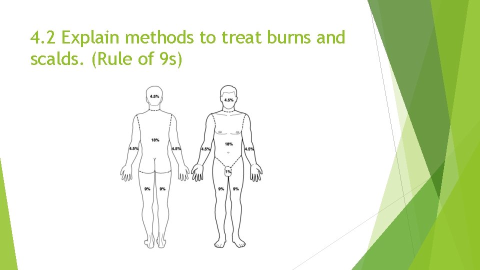 4. 2 Explain methods to treat burns and scalds. (Rule of 9 s) 