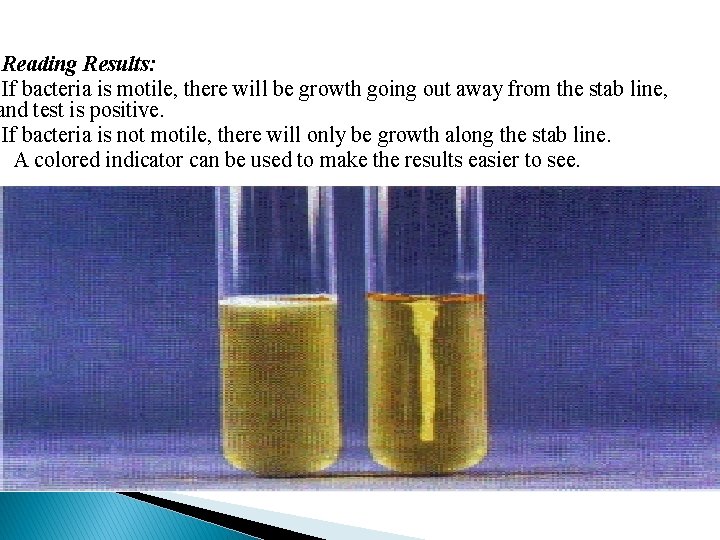 Reading Results: If bacteria is motile, there will be growth going out away from