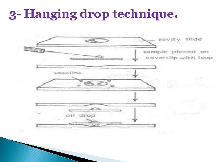 3 - Hanging drop technique. 