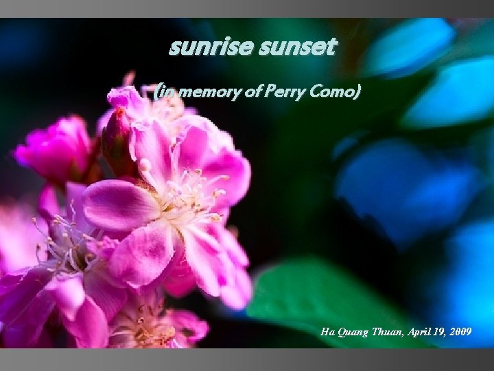 sunrise sunset (in memory of Perry Como) Ha Quang Thuan, April 19, 2009 