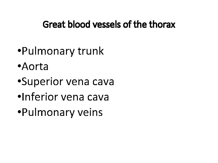 Great blood vessels of the thorax • Pulmonary trunk • Aorta • Superior vena