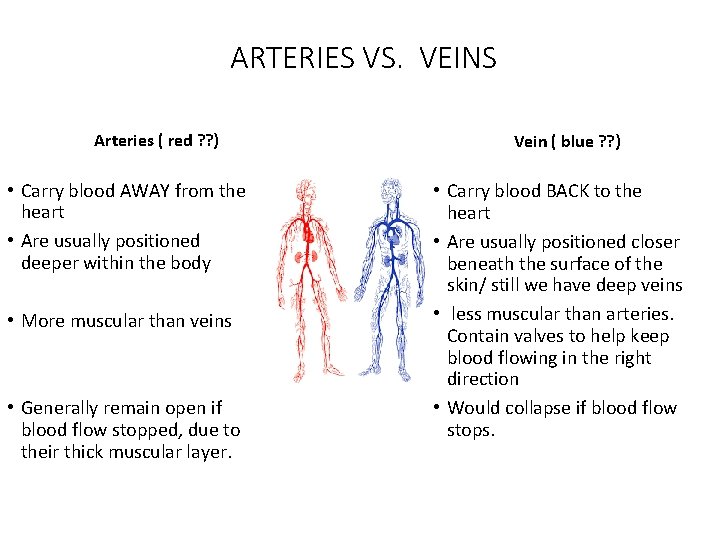 ARTERIES VS. VEINS Arteries ( red ? ? ) • Carry blood AWAY from