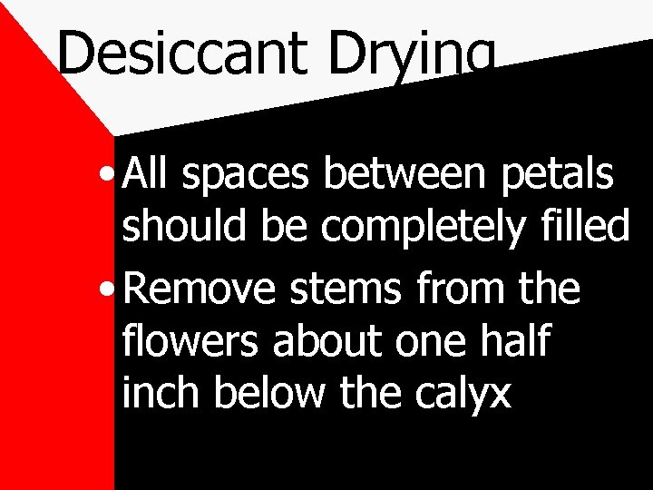 Desiccant Drying • All spaces between petals should be completely filled • Remove stems