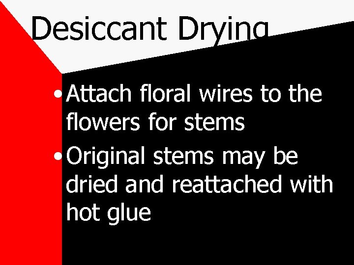 Desiccant Drying • Attach floral wires to the flowers for stems • Original stems