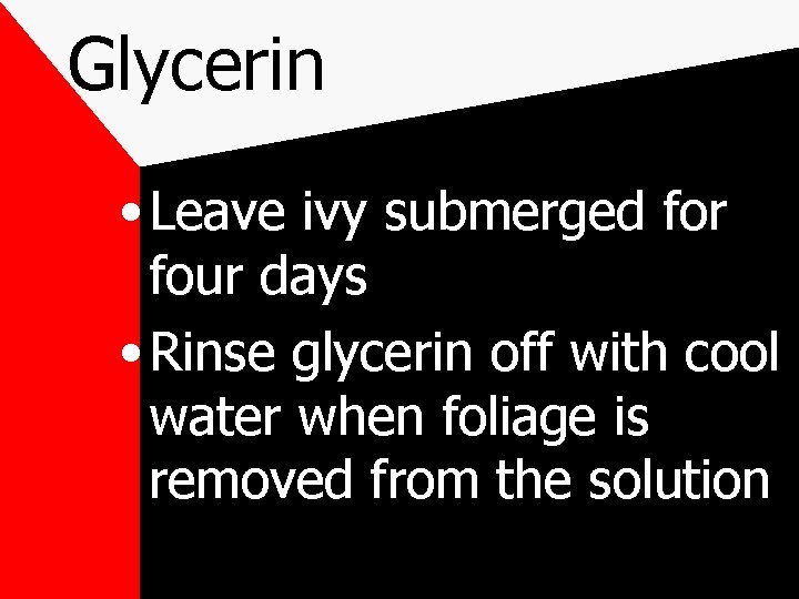 Glycerin • Leave ivy submerged for four days • Rinse glycerin off with cool