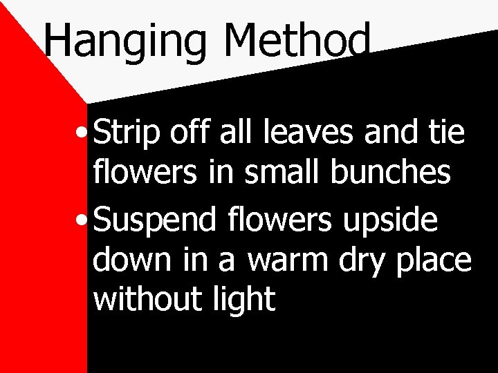 Hanging Method • Strip off all leaves and tie flowers in small bunches •