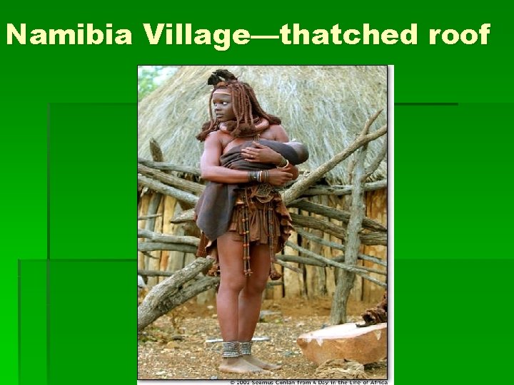 Namibia Village—thatched roof 