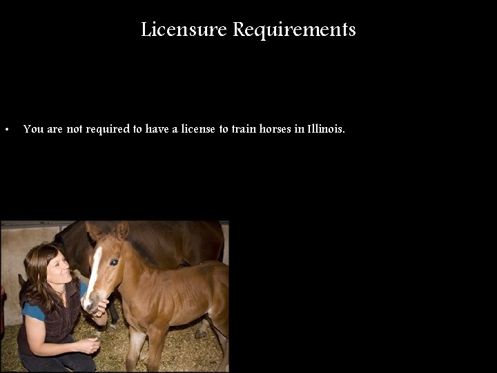 Licensure Requirements • You are not required to have a license to train horses