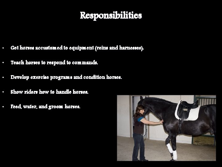 Responsibilities • Get horses accustomed to equipment (reins and harnesses). • Teach horses to