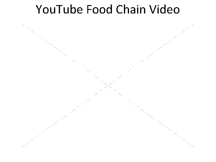 You. Tube Food Chain Video 