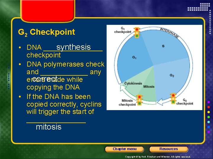 G 2 Checkpoint • DNA ________ synthesis checkpoint • DNA polymerases check and ______