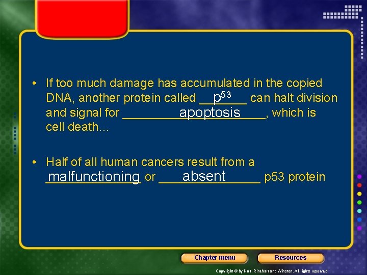  • If too much damage has accumulated in the copied DNA, another protein
