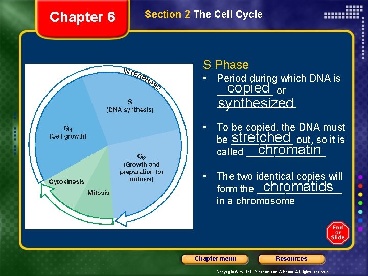 Chapter 6 Section 2 The Cell Cycle S Phase • Period during which DNA