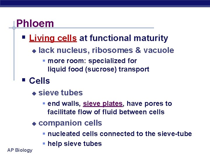 Phloem § Living cells at functional maturity u lack nucleus, ribosomes & vacuole §